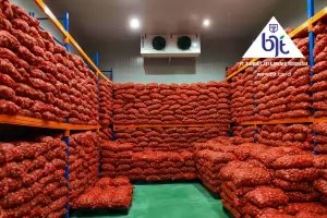5 Cara Simpan Bawang Merah di Cold Storage Chiller Agar Awet & Tidak Cepat Busuk